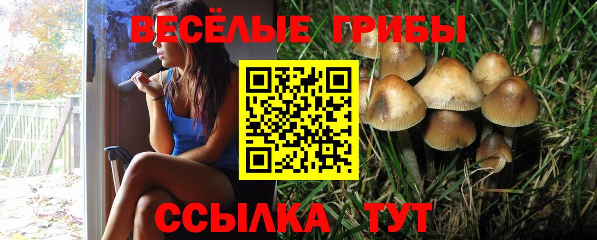 Псилоцибиновые грибы прущие грибы  Вход с VPN  Усолье-Сибирское  Псилоцибиновые грибы мухоморы 